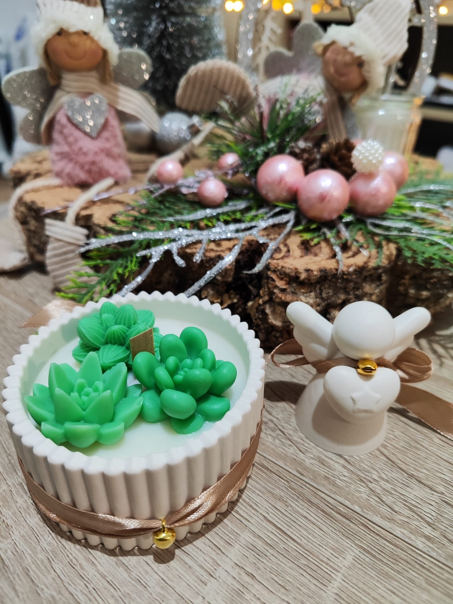 Jardim de suculentas 