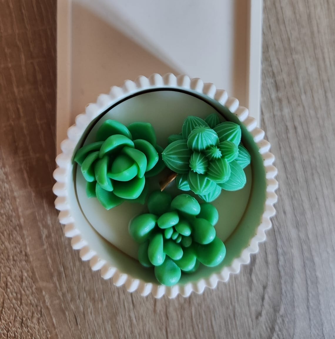 Jardim de suculentas 